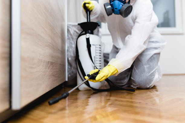 Reliable Manchester, GA Pest Control Solutions