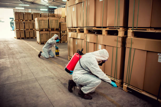 Best Termite Control Services  in Manchester, GA