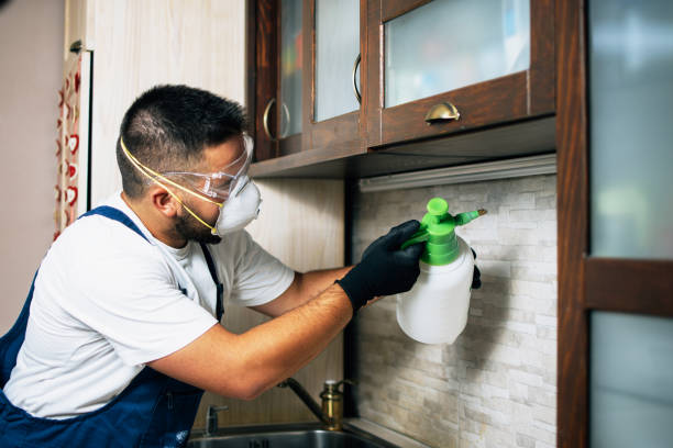 Best Flea Control Services  in Manchester, GA