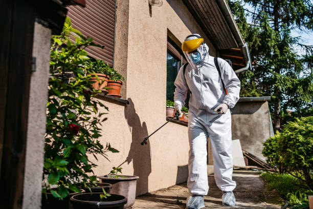 Best Wildlife Control Services  in Manchester, GA