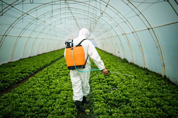 Best Pest Control for Homes  in Manchester, GA