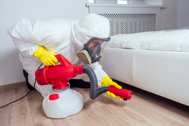 Best Wasp Removal Services  in Manchester, GA