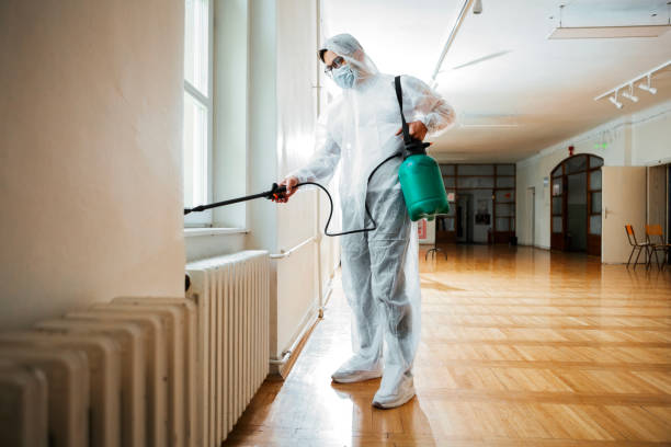 Wasp Removal Services in Manchester, GA