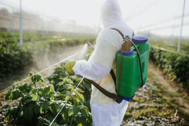 Best Local Pest Control Services  in Manchester, GA
